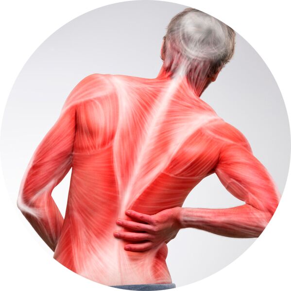 Η πλάτη είναι μια κοινή αιτία πόνου στους μύες και στις αρθρώσεις για τους περισσότερους ανθρώπους.